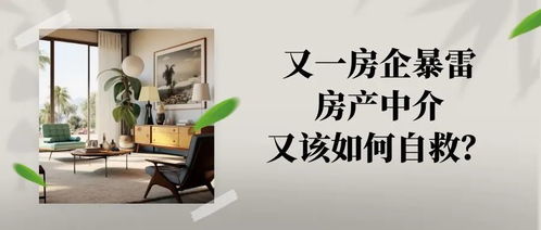 房产获客困境怎么处理（房产获客困境怎么处理的）