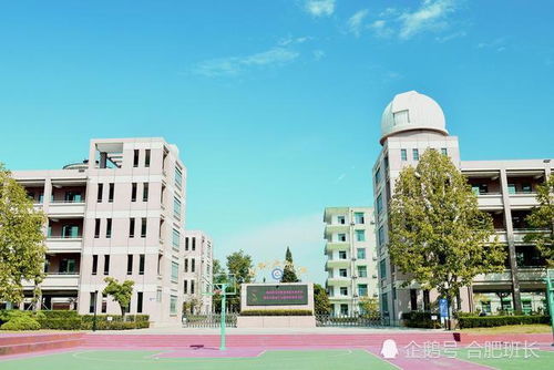 学校房产结构怎么变更了（学校的房改房可以出售吗）