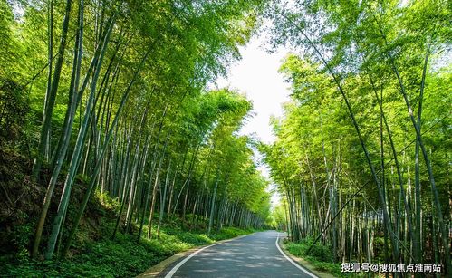 柳州房产局怎么去（柳州房产局电话号是多少）