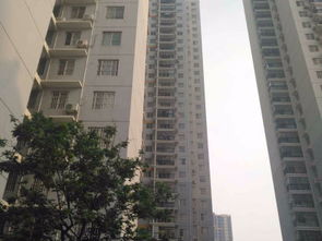 安吉良朋房产怎么样（安吉良朋房屋出租）