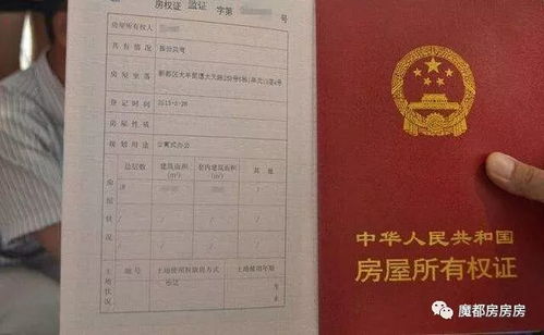 房产证怎么查到户主（房产证怎么查户主有无更换）
