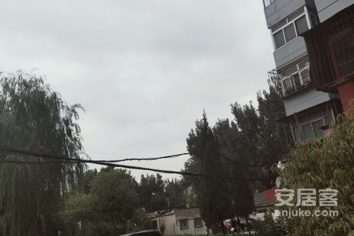 驼岭头房产怎么买（驼岭头村最新消息）