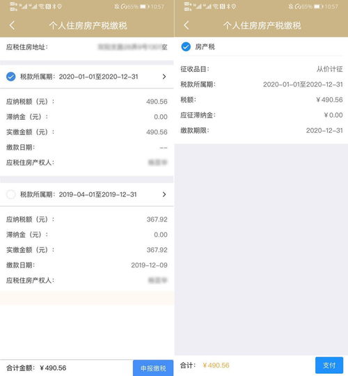 房产契税在app怎么缴纳（房产契税在app怎么缴纳不了）