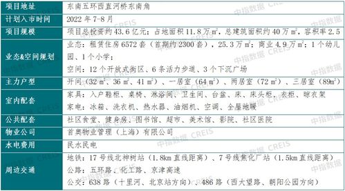看房产项目总结怎么写（看房产项目总结怎么写范文）