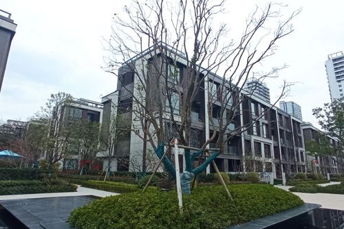 高档房产介绍语怎么写（房产的介绍语）