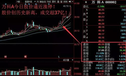 房产类型的股票怎么买（房产股票有哪些龙头股）