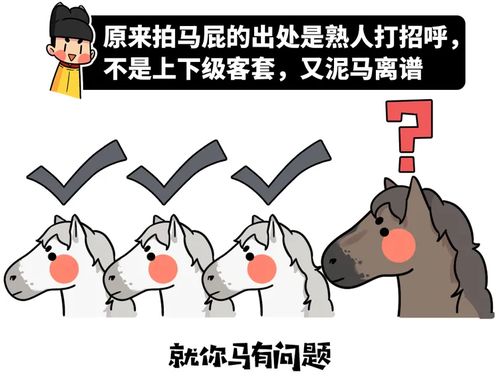 拍户外房产视频怎么拍（如何拍房产室内视频）