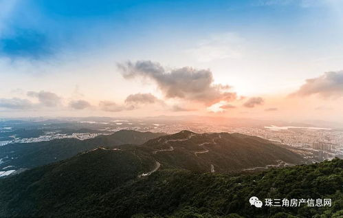 邵东房产中介怎么收费（邵东房产中介电话号码）