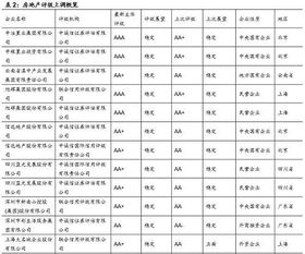 房产评级授信报告怎么写（房产评级授信报告怎么写的）