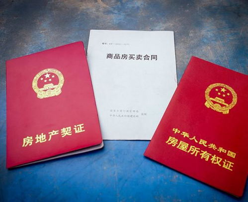 双证房产怎么算产权（双证 房产）