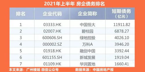 国内房产巨头怎么都负债（中国房企负债排行榜）