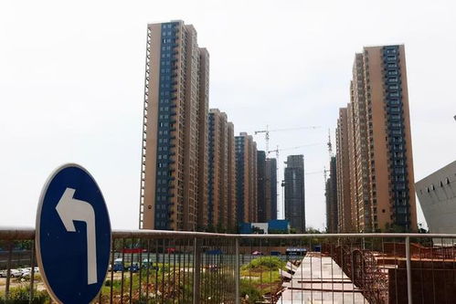 嘉兴小牛房产怎么样（小牛房子）