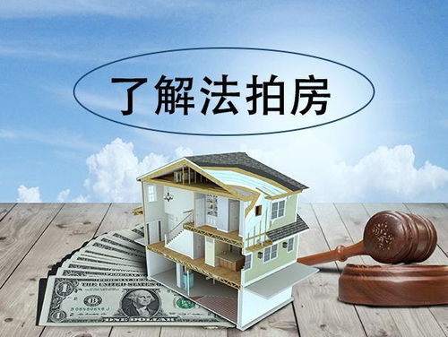 怎么拍卖住房产权房子（拍卖房子怎么拍卖）
