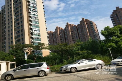 公园大观房产怎么样（公园大观二手房）