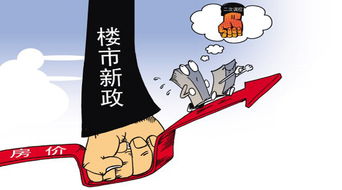 政府房产置换价怎么算（政府房屋置换以房换房政策）