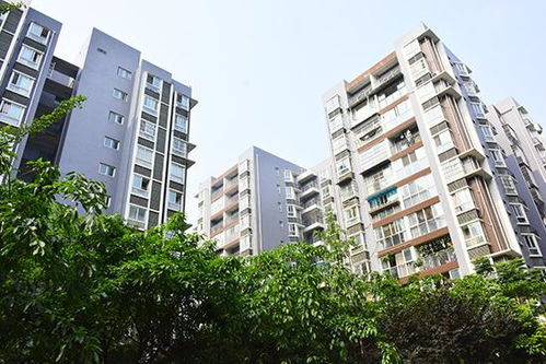 东升房产家政怎么样（东升房产家政怎么样可靠吗）
