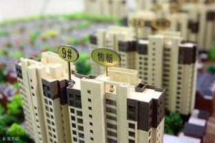 冷氏房产怎么样（冷氏房产怎么样可靠吗）