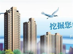 庆云爱家房产怎么样（庆云爱家房产怎么样知乎）