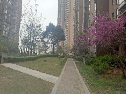 龙锦房产怎么样（龙锦房地产开发有限公司）