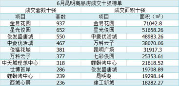 房产实际套数怎么计算面积（套房如何计算总面积）