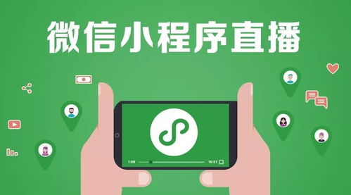 房产直播该怎么说（房产直播怎么说然后大家点我小风车）