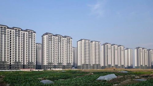 怎么能买到郊区房产（在郊区买房子）