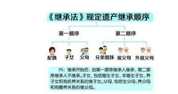 房产分配房子怎么分（房产分配顺序）