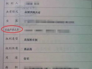 怎么过户公租房房产权（怎么过户公租房房产权证）