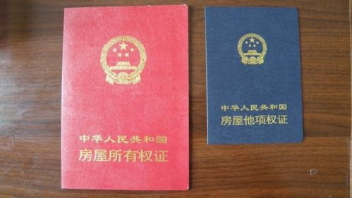 怎么办理房产确权证（怎么办理房产确权证明）