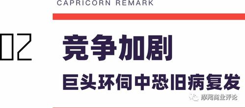 君言房产怎么样（君言科技有限公司）
