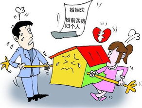 房产法律上怎么分配（房产权怎么分配）