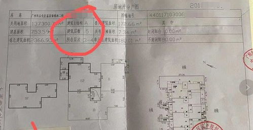 房产销售欺诈怎么判定（房产销售欺骗消费者怎么处理）
