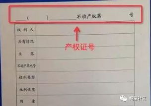 房产信息栏怎么填写（房产信息栏怎么填写的）