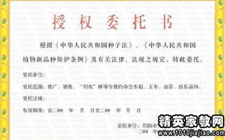 个人房产租赁证明怎么写（个人房产租赁证明怎么写范本）