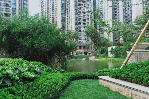房产恒大怎么样（恒大房产怎么样?如何评价?