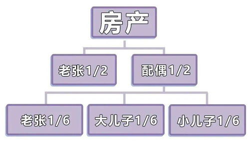 剩余房产继承怎么办理（剩余房产继承怎么办理的）
