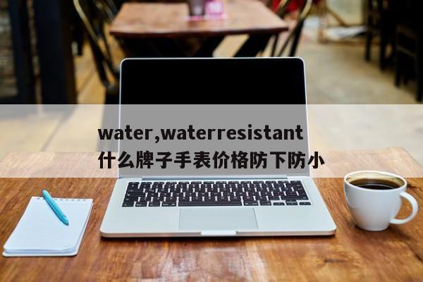 water,waterresistant什么牌子手表价格防下防小