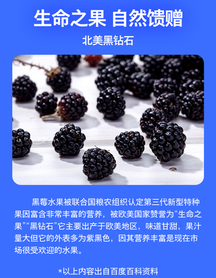 黑莓的营养有什么功效,黑莓的功效与作用机理
