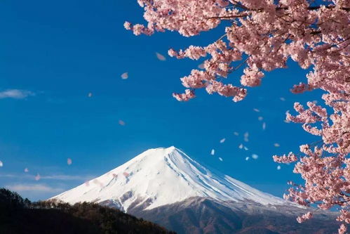 富士山下歌曲表达的意思,富士山文案短句干净