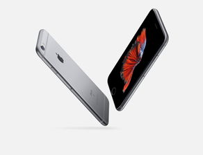 苹果手机6splus上市时间及价格(苹果6splus的上市时间及价格)