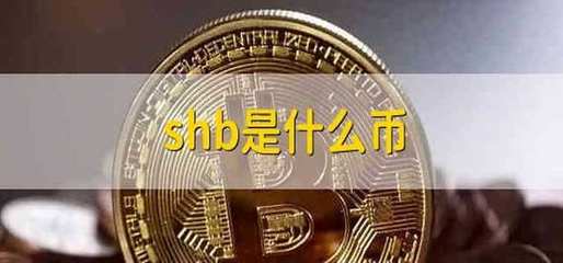 中国唯一合法虚拟货币的简单介绍