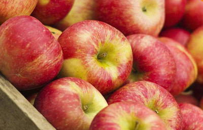 苹果市场价格多少钱一斤(8块一斤的苹果贵吗)