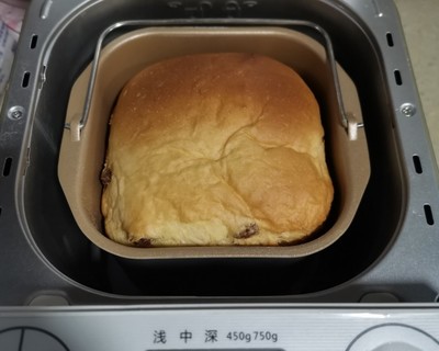 东菱面包机做面包的方法(东菱面包机做面包的方法拉丝)