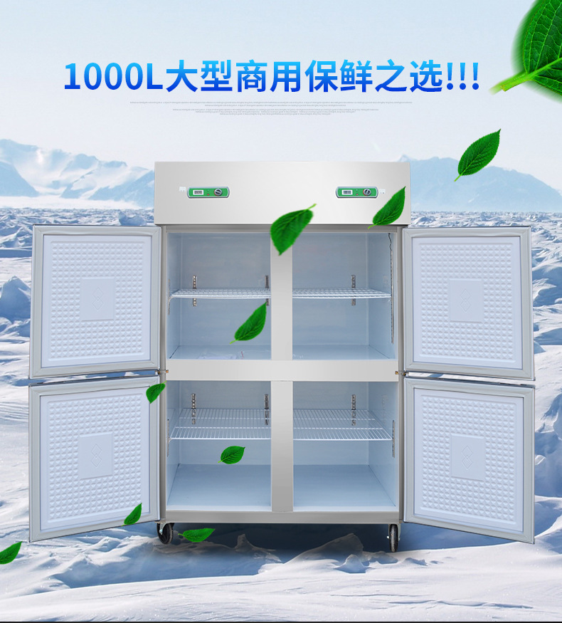 大型冷冻冰柜价格及图片(大型冷藏柜价格及图片)