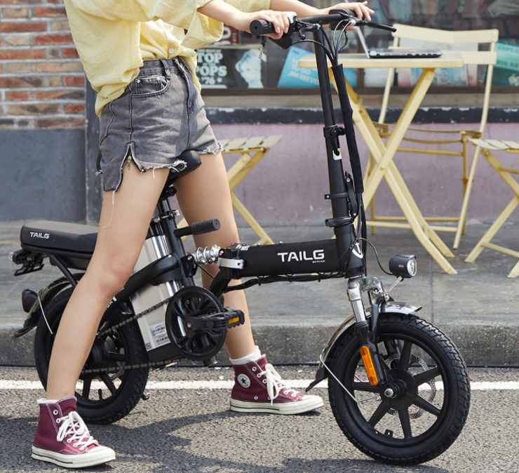 折叠电动自行车哪个品牌好(折叠电动自行车哪个牌子质量好)
