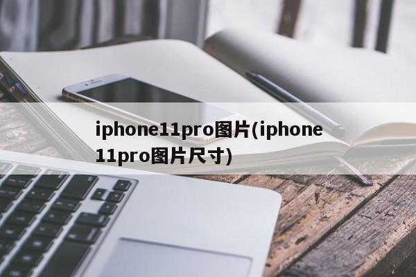 iphone11pro图片(iphone11pro图片尺寸)