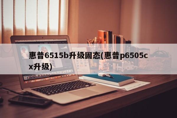 惠普6515b升级固态(惠普p6505cx升级)