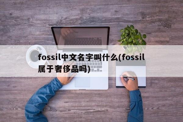 fossil中文名字叫什么(fossil属于奢侈品吗)