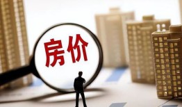 怎么做房产专家赚钱（房产专家视频）