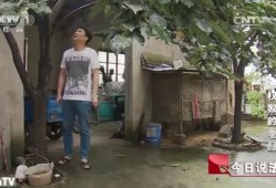 人死后房产怎么分（人死后房产归谁）